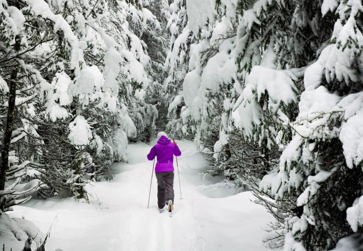 Cozy Val Disere Chalet Steps Into Town Breckenridge Bagian luar foto